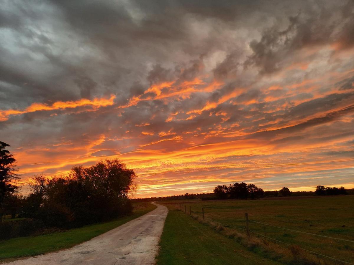 Appartamento O Bout D'La Motte Voillecomte Esterno foto