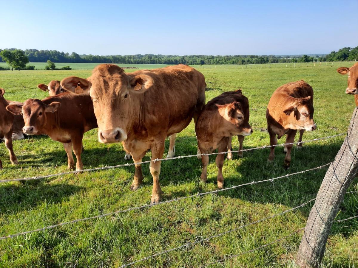 Appartamento O Bout D'La Motte Voillecomte Esterno foto