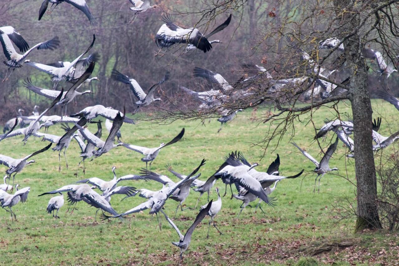 Appartamento O Bout D'La Motte Voillecomte Esterno foto