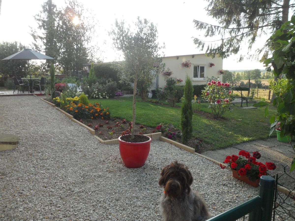 Appartamento O Bout D'La Motte Voillecomte Esterno foto
